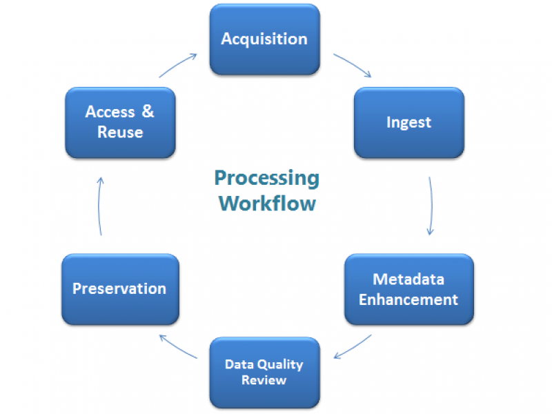 Processing Workflow