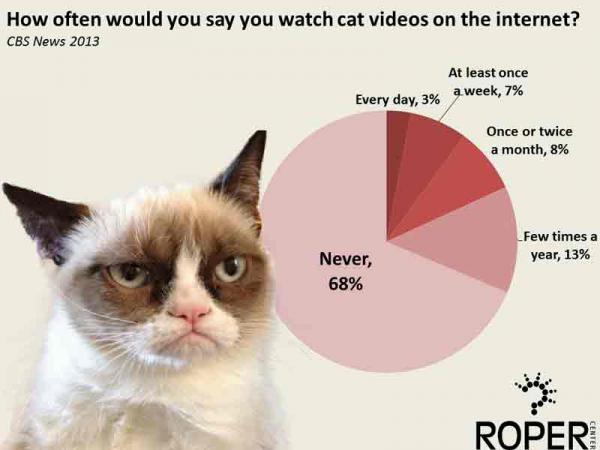 Viewership of online cat videos